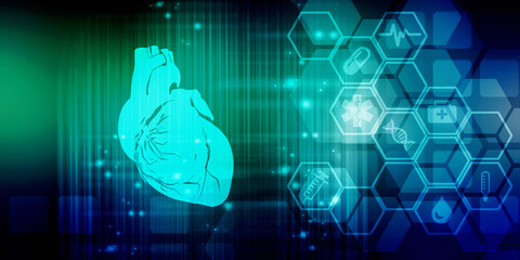 2d illustration  Anatomy of Human Heart 
