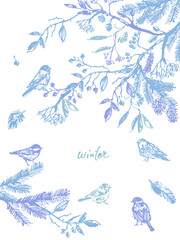 Fototapeta na wymiar Hand drawn ink birds and tree branches illustration