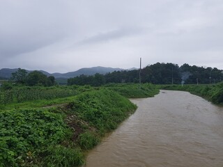 비 온 뒤