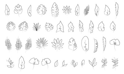 Continuous one line floral art collection. Outline tropical and exotic leaves sketchy style
