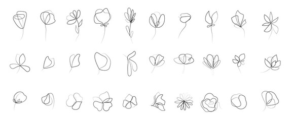 Fototapeta na wymiar Continuous one line floral art collection. Outline leaves and flowers sketchy style