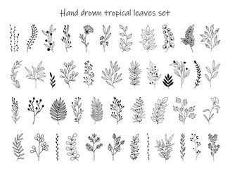 Set of black silhouettes of tropical leaves on an isolated white background. Botanical tree branches, palm leaf on the stem. Spring summer leaf. Concept design logo icons. Vector illustration. © Lapalovee