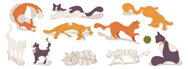Various cats playing, sleeping and relaxing. Cartoon characters in different poses and mood. Hand drawn pet kitten characters