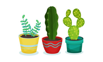 Cactus and Succulent Plant Growing in Flowerpots Vector Set