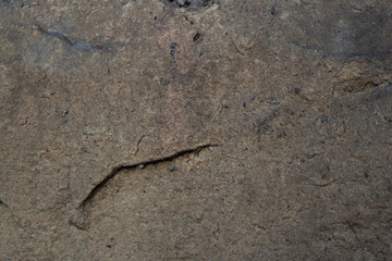 close up of a rock. Brown rock textured background. Brown stone with protuberances on the surface....