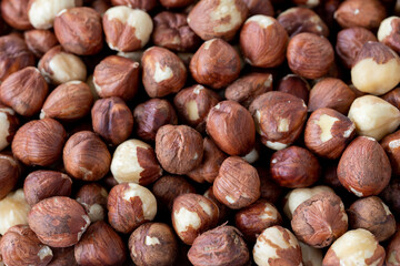 Hazelnuts in plate isolated on white background - close up