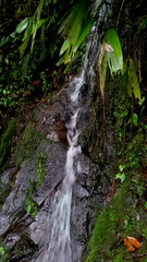 Naturaleza Vs Ciudad