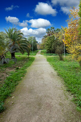 Path in a beautiful park.