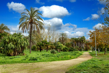 Fototapeta premium Path in a beautiful park.