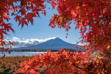 河口湖　紅葉