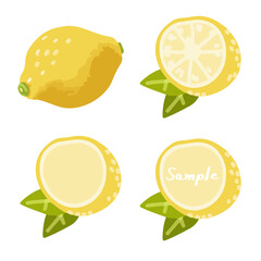 レモンの手描きイラストセット（全体、断面、フレーム版）