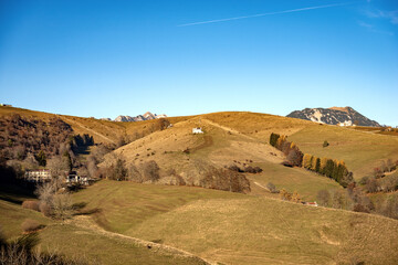 Landscape of the Lessinia Plateau (Altopiano della Lessinia), in autumn with meadows and tree and the peak of the Carega Mountain. Verona province, Veneto, Italy, Europe.