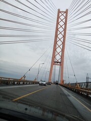 cable bridge