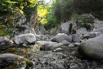 Naklejka na ściany i meble Canyon, mountain river flows between the White Rocks, subtropical forest landscape. Yew-boxwood grove, Sochi National Park