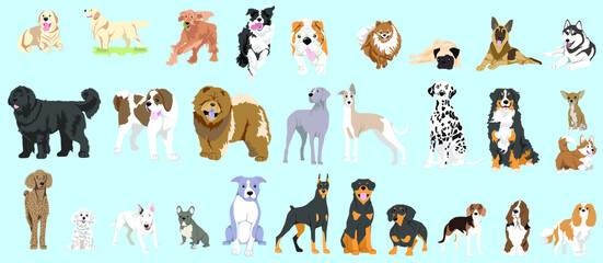 dog collection pack vector illustration for web