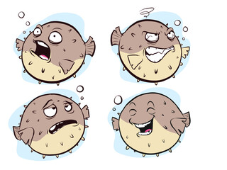 vector  illustration of a Blowfish 