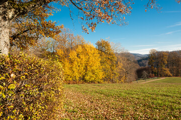 Naklejka premium Herbst