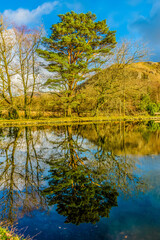 Fototapeta na wymiar Reflection of a winters day!