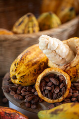 Ripe cocoa pod and cocoa beans setup background, Selective focus.