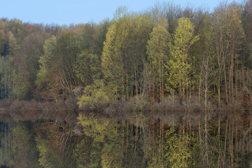 Spring landscape of the shoreline of Twin Lakes with mirrored reflections in calm water, Michigan, USA