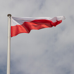 Polish Flag