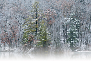Foggy winter landscape of the snow flocked shoreline of Hall Lake, Yankee Springs State Park, Michigan, USA