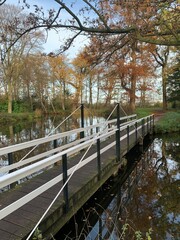 Bridge in Autemn
