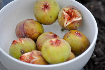fig or ripe fig