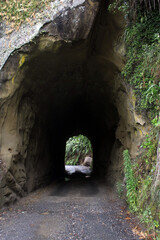 a road going though a dark tunnel in the cave surrounded by a tropical forrest