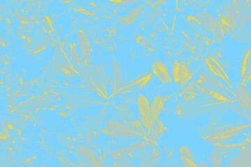 Fototapeta na wymiar Floral background. Yellow ficus leaves on a blue background