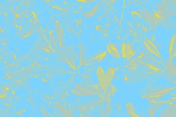 Floral background. Yellow ficus leaves on a blue background