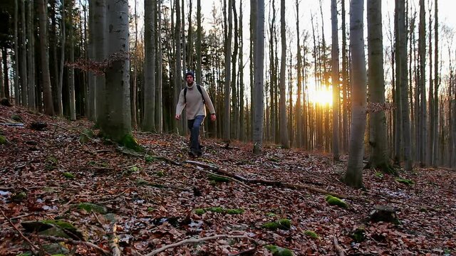 Young man walking in autumn forest from front at sunset rays. Czech landscape