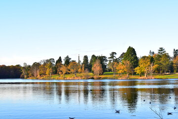 Fototapeta premium Autumn colours