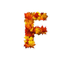Colorful autumn leaves isolated on white background as letter F.