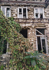 A large abandoned brick building with broken wood-framed windows and growing hops.
