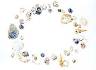 Round circle of small marine colorful light orange blue pink purple seashells of different shapes on white background. Snail shells, spiral shells. Design template