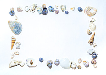 Geometric square rectangular frame of small marine colored orange blue pink purple sea shells of different shapes on white background. Design template