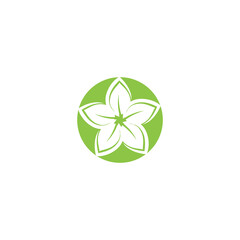 Beauty plumeria icon flowers design illustration Template