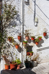 Fassadendekoration in Capileira