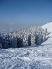 Fototapeta na wymiar Winter mountain tour to Hornle mountains, Bavaria, Germany