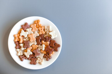 Food for pets such as dogs and cats in a white saucer on a blue background with a place for text. Delicacy close-up. Concept for advertising pet food
