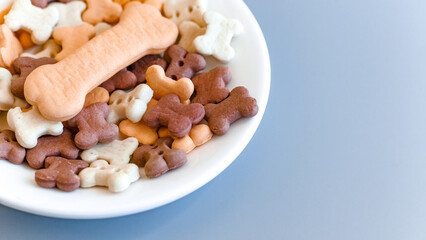 Food for pets such as dogs and cats in a white saucer on a blue background with a place for text. Delicacy close-up. Concept for advertising pet food