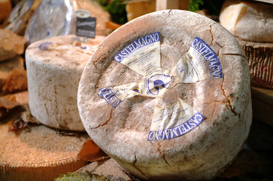 Turin, Piedmont, Italy. -10/22/2010- The food fair "Salone del Gusto". Castelmagno cheese.