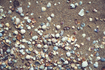 stones on the beach