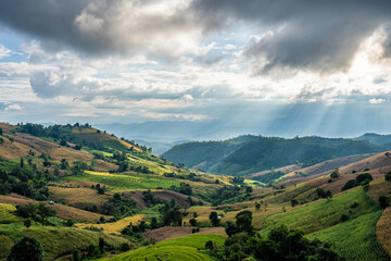 Agriculture in Northern Thailand