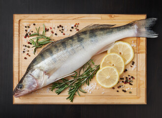 Fresh uncooked pike perch with lemon, rosemary and spice on wooden board over black backdground
