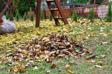 Fototapeta premium Yellow leaves in autumn fall on the stairs of a small house in the garden