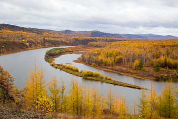  The river flows through the autumn forest. Horizontally.