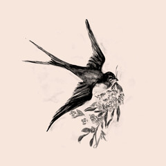 Aquarelle Hand drawn of bird vintage illustration.