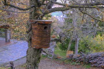 wooden birdhouse on tree across backyard close-up. Handmade birdhouse